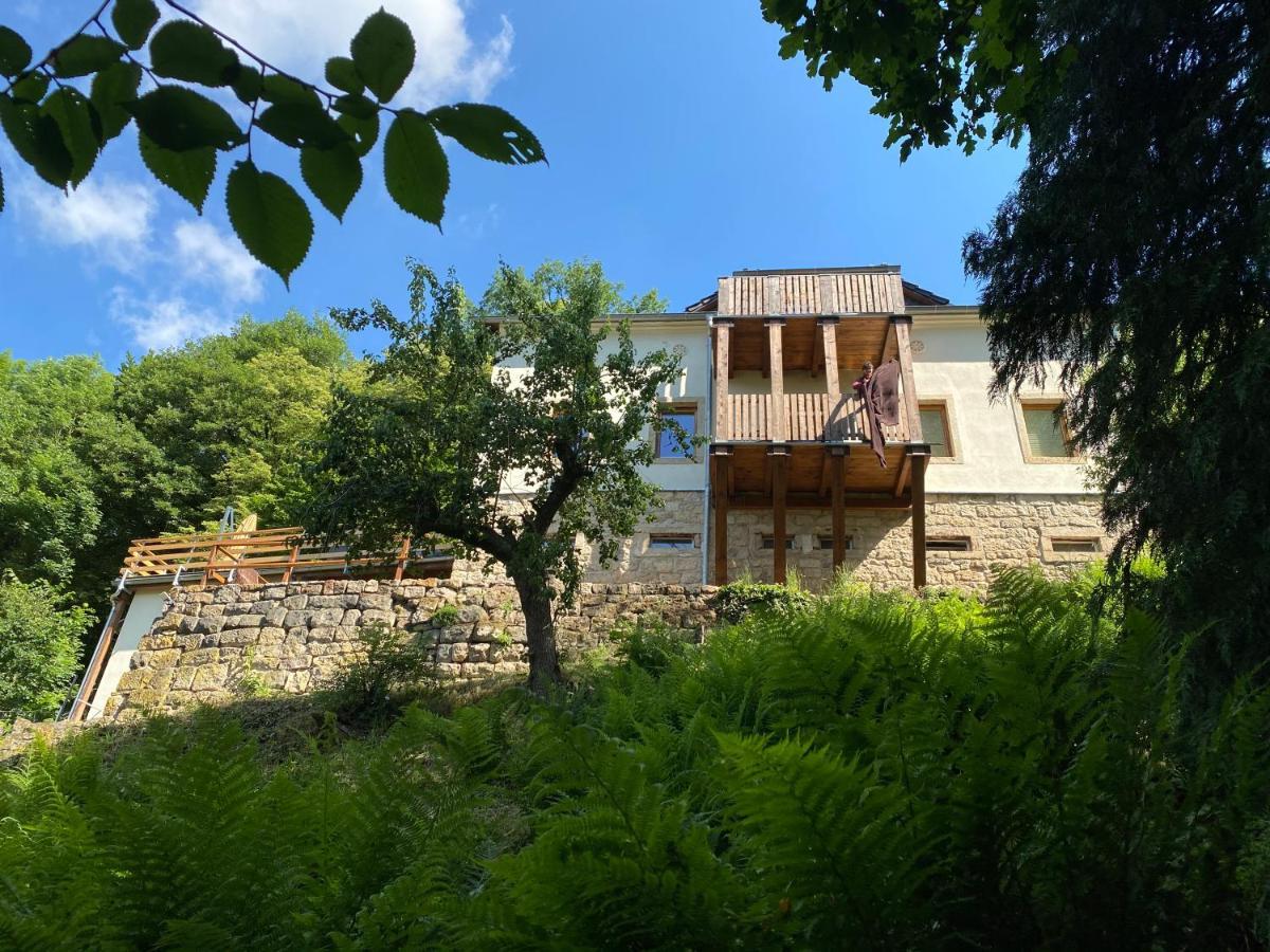 Luxusboofe - Ferienhaus Am Lilienstein 쾨닉슈타인 안 데어 엘베 외부 사진